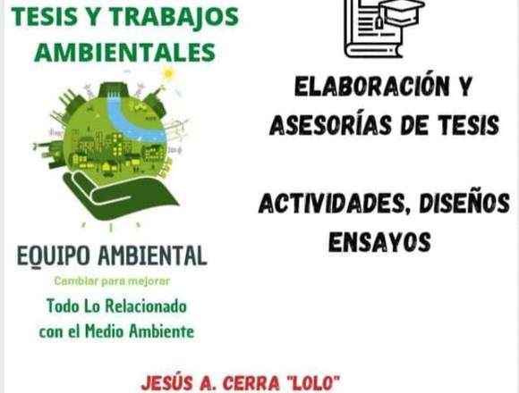 ELABORACION, ASESORIAS, DISEÑOS,ENSAYOS DE TESIS,