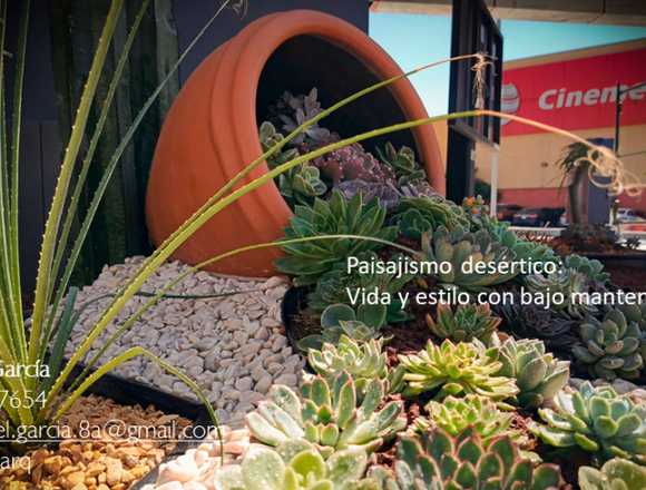 Servicios de jardinería, escenarios desérticos.