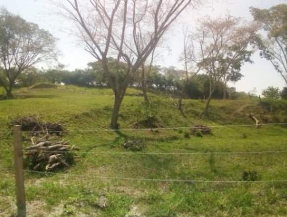 Venta de tierra en el Tolima fincaraiz