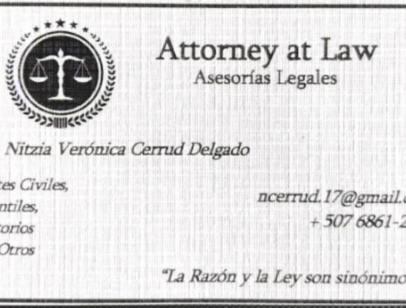 Asesorías y Servicios Legales. en David (Distrito)