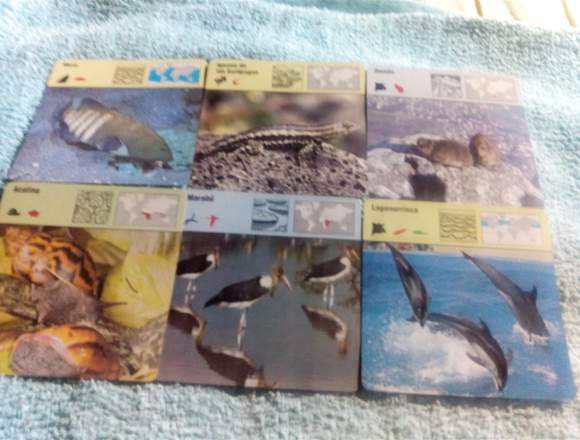 VENDO LOTE DE 40 FICHAS DE ANIMALES POR 20 EUROS