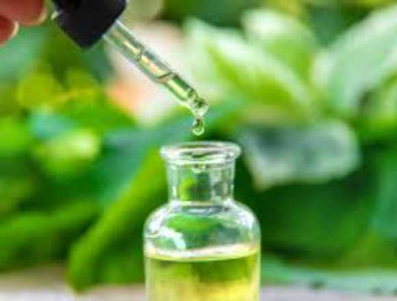 Aceite de copaiba Baq en Barranquilla (Municipio)