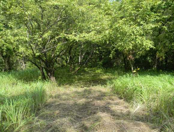 Venta de Lote en Garabito, Puntarenas.