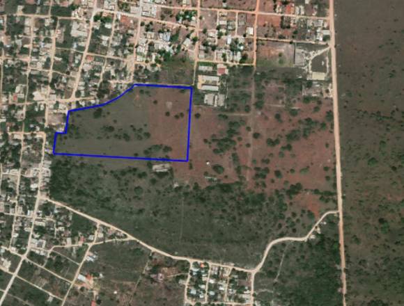 Terreno de 50,000 mts ubicado en La Romana en Santiago (Municipio)