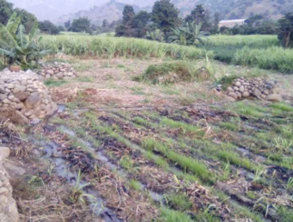 TERRENO PARA CASA HUERTA EN POROTO en Poroto (Distrito)