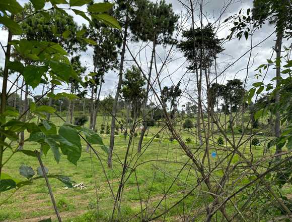AGRICULTORES, VENTA TERRENO SUMPANGO, GUATEMALA