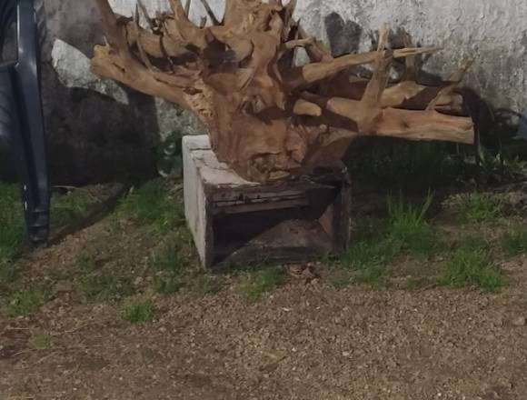 Decora tu hogar con arte en raíz en Las Toscas (Localidad)