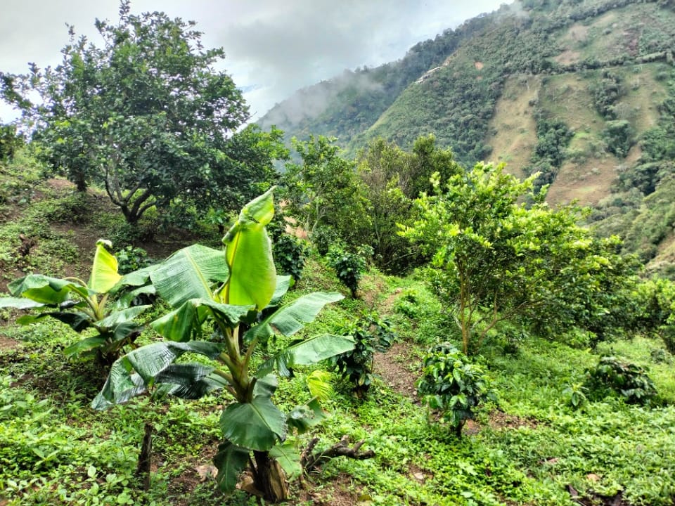 Lote en venta con excelente entorno natural – ideal para construir