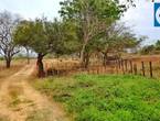 venta de lotes campestres