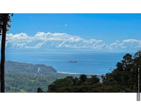 TERRENO EN VENTA - 2.78 ACRES - PLANTELES - UVITA - OSA