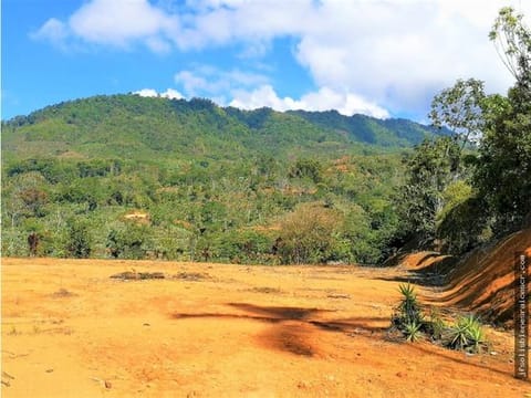 TERRENO EN VENTA 7318M2 CON PLANTEL San Ramón Norte Pérez Zeledón