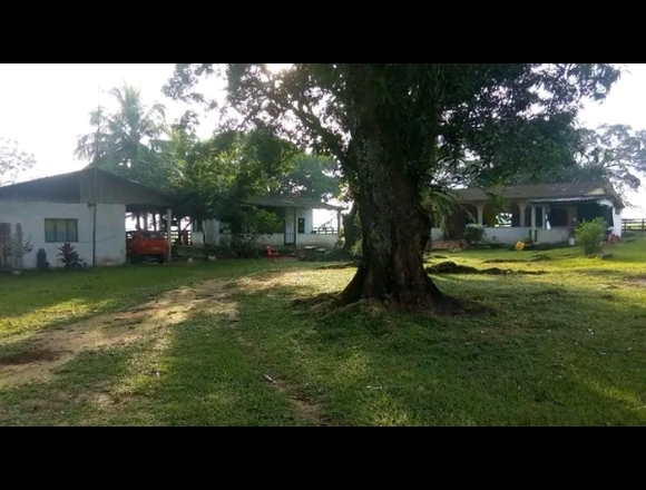 SE VENDE FINCA DE 5.400 HECTAREAS EN VILLAVICENCIO