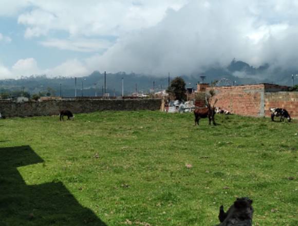 SE VENDE LOTE URBANO EN BOJACA 1.244 m2 en Bojacá (Municipio)