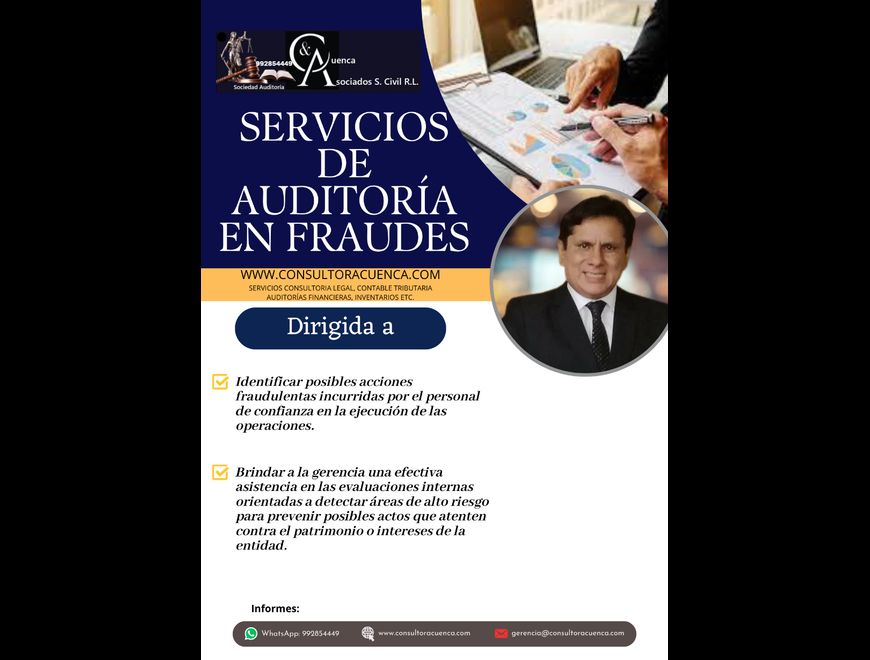 SERVICIOS DE AUDITORÍA EN FRAUDES en Puno (Distrito)