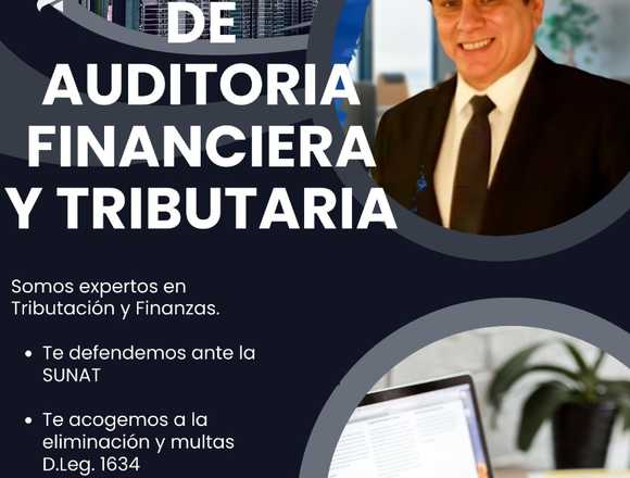 SERVICIOS DE AUDITORIA FINANCIERA Y TRIBUTARIA en Puno (Distrito)