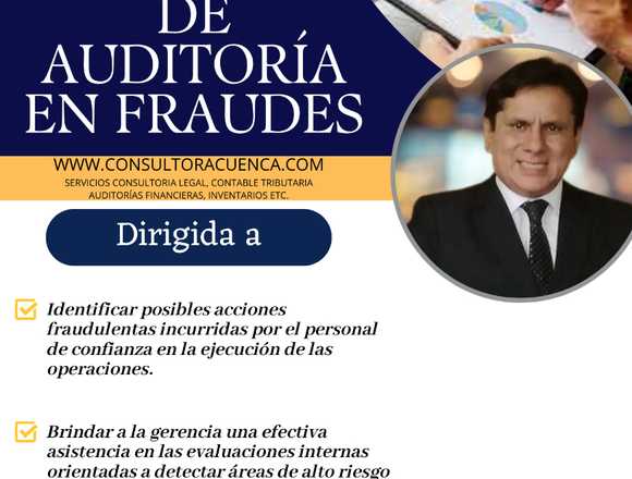SERVICIOS DE AUDITORÍA EN FRAUDES en Puno (Distrito)