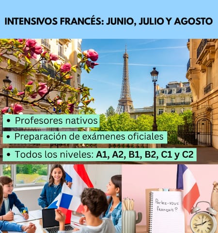 Cursos de Francés con profesor en Getxo (Municipio)