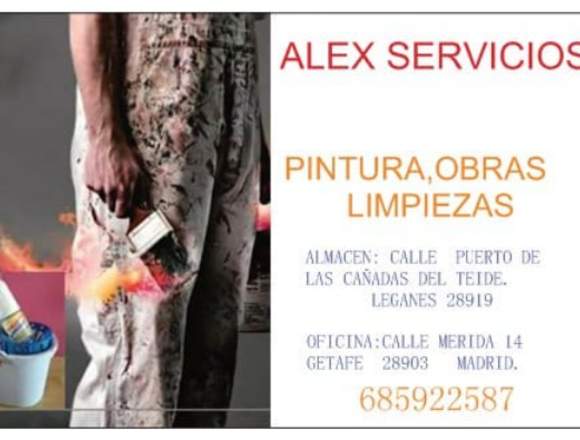 PINTORES PROFESIONALES en Lleida (Municipio)