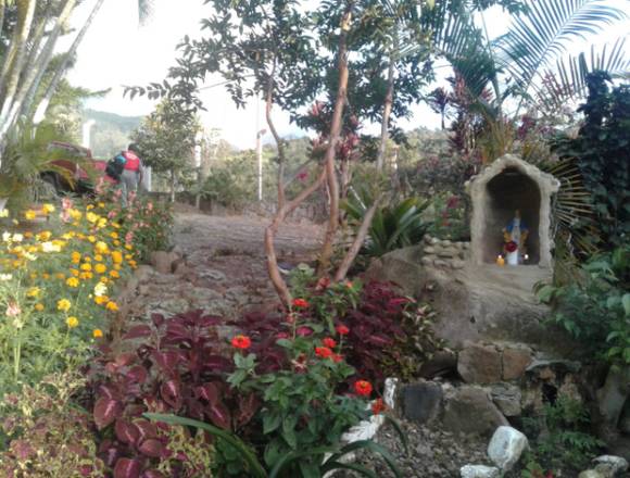 VENDO FINCA VEREDA EL GUAVIO BAJO