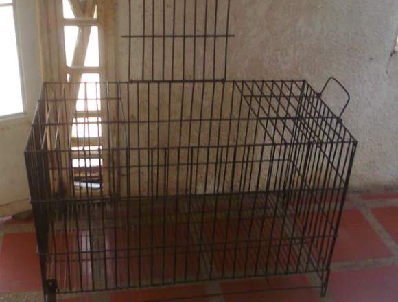 Jaula para cachorros en Maracaibo (Municipio)