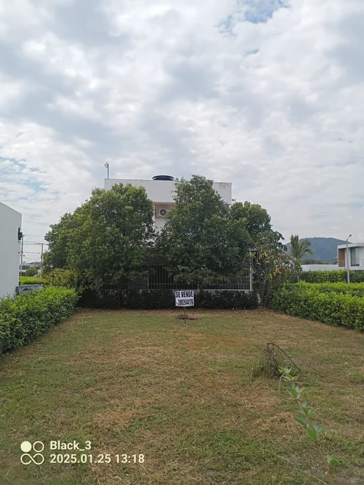 Venta Lote FLANDES TOLIMA