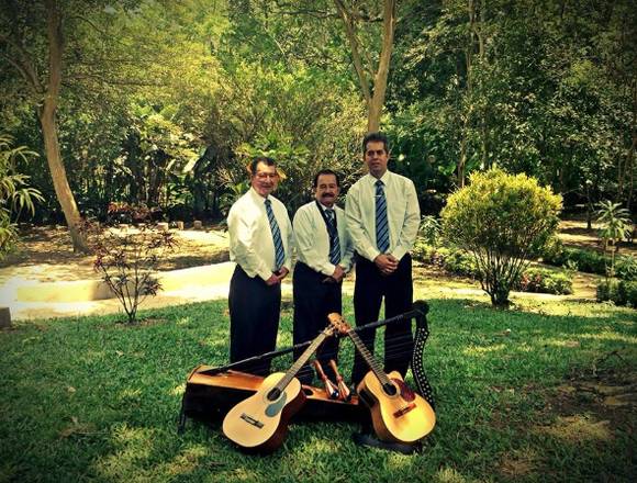 SERENATA CON TRÍO EN SANTANDER en Bucaramanga (Municipio)