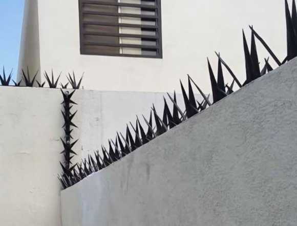 PICOS DE SEGURIDAD PERIMETRAL TIPO AGAVE en Mérida (Municipio)