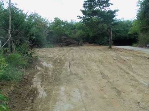 VENTA DE TERRENO LISTO PARA LA CONSTRUCCION en Gómez (Municipio)