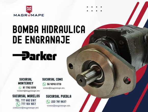 BOMBAS HIDRAULICAS DE ENGRANAJE PARKER en Monterrey (Municipio)