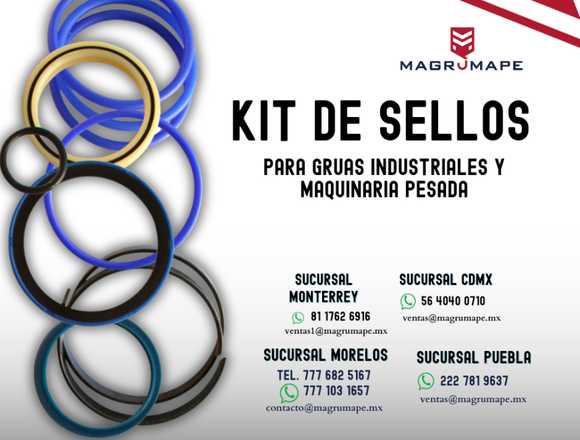 KIT DE SELLOS PARA GRUAS Y MAQUINARIA PESADA en Monterrey (Municipio)