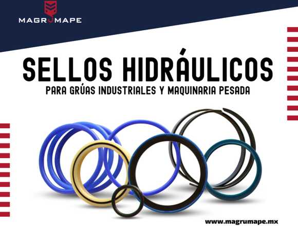 SELLOS HIDRAULICOS PARA GRÚAS