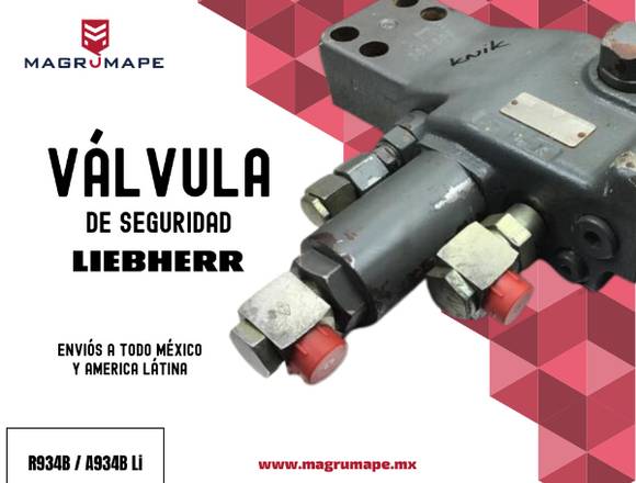 VALVULA DE SEGURIDAD LIEBHERR en Cuernavaca (Municipio)