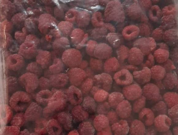 Fruta Congelada Framlinares en Santiago (Comuna)