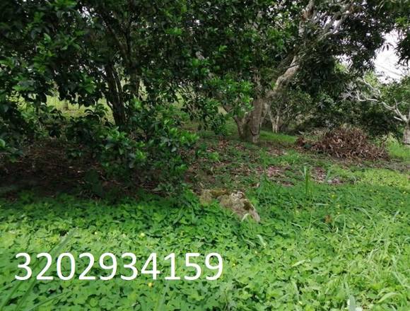 venta lotes viota cundinamarca en Viotá (Municipio)