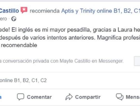 CURSO ONLINE APTIS (PARA ACREDITAR B1, B2, C1) en San Pedro Garza García (Municipio)