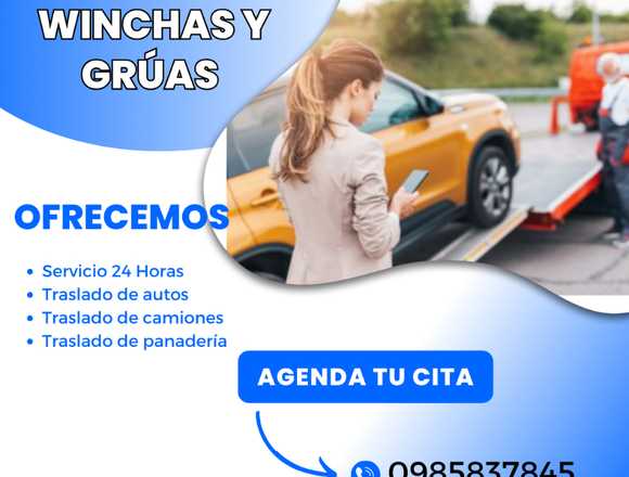 Winchas y Gruas en la ciudad de Quito en Quito (Cantón)