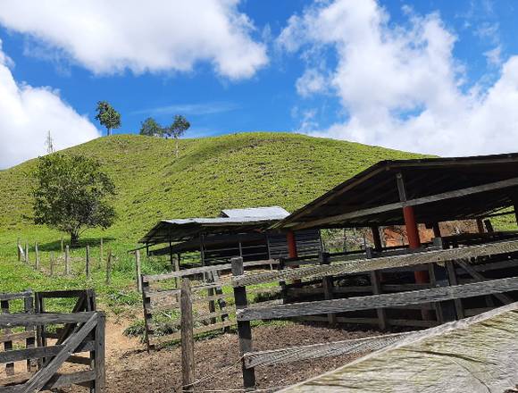 Finca en venta,San Luis Antioquia en San Luis (Municipio)