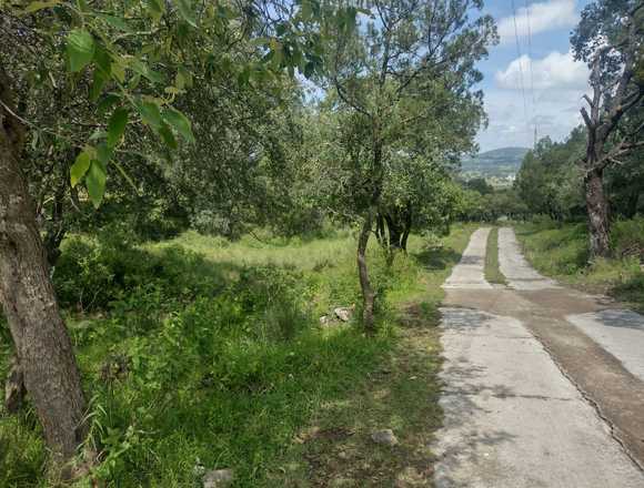 Se vende terreno en Tetla en Tetla de la Solidaridad (Municipio)