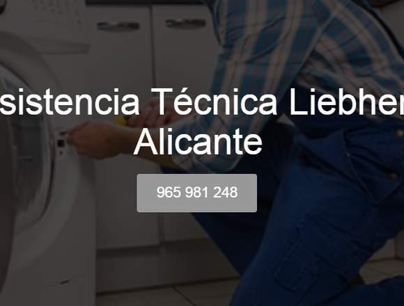 Servicio Técnico Liebherr Alicante 965 217 105 en Alicante/Alacant (Municipio)