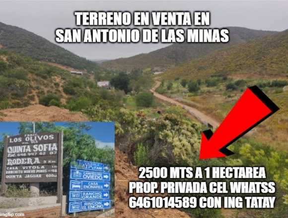 VENDO VALLE DE GUADALUPE TERRENO 2500 MTS SECC SAN ANTONIO RUTA VINO en Ensenada (Municipio)