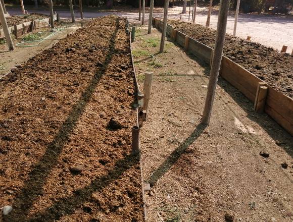 Vendemos lombrices californianas, humus y compost en La Pintana (Comuna)