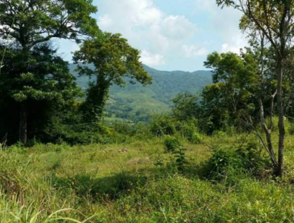 Finca en venta en Oratorio, Santa Rosa. 8 manzanas en Quetzaltenango (Municipio)