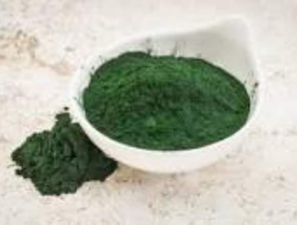 ANTI - ENVEJECIMIENTO ALGA ESPIRULINA en Guanajuato (Municipio)