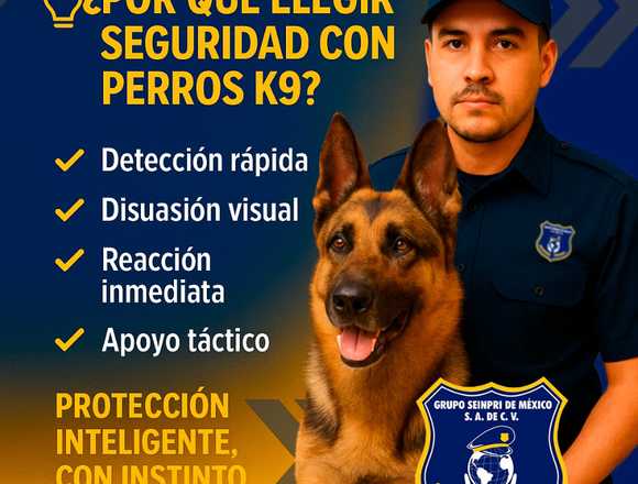 TÚ SEGURIDAD NO ES UN JUEGO en Álvaro Obregón (Municipio)