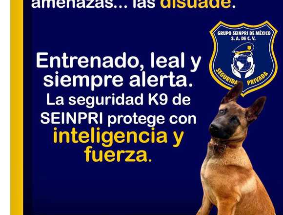En SEINPRI, La mejor seguridad en Álvaro Obregón (Municipio)