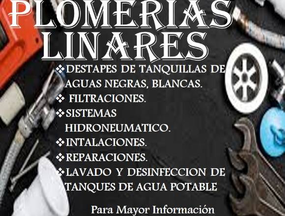 multiservicios linares plomerias en Maracaibo (Municipio)