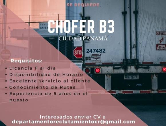 Chofer Repartidor con licencia Camión en Panamá (Distrito)