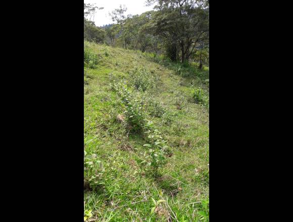 Vendo lote en Aserrí en Aserrí (Cantón)
