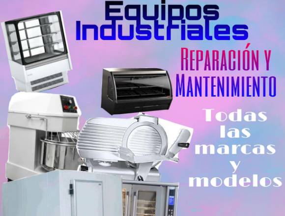 Reparación y Mantenimiento deEquipos Industriales