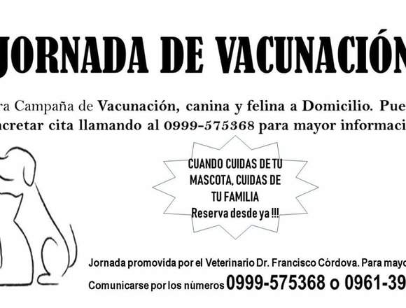 Veterinario emergencia Guayaquil 0999575368 en Empalme (Cantón)